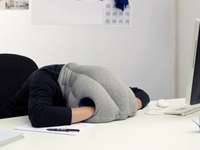 OstrichPillow200