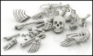 SkeletonsPartsOnTheFloor